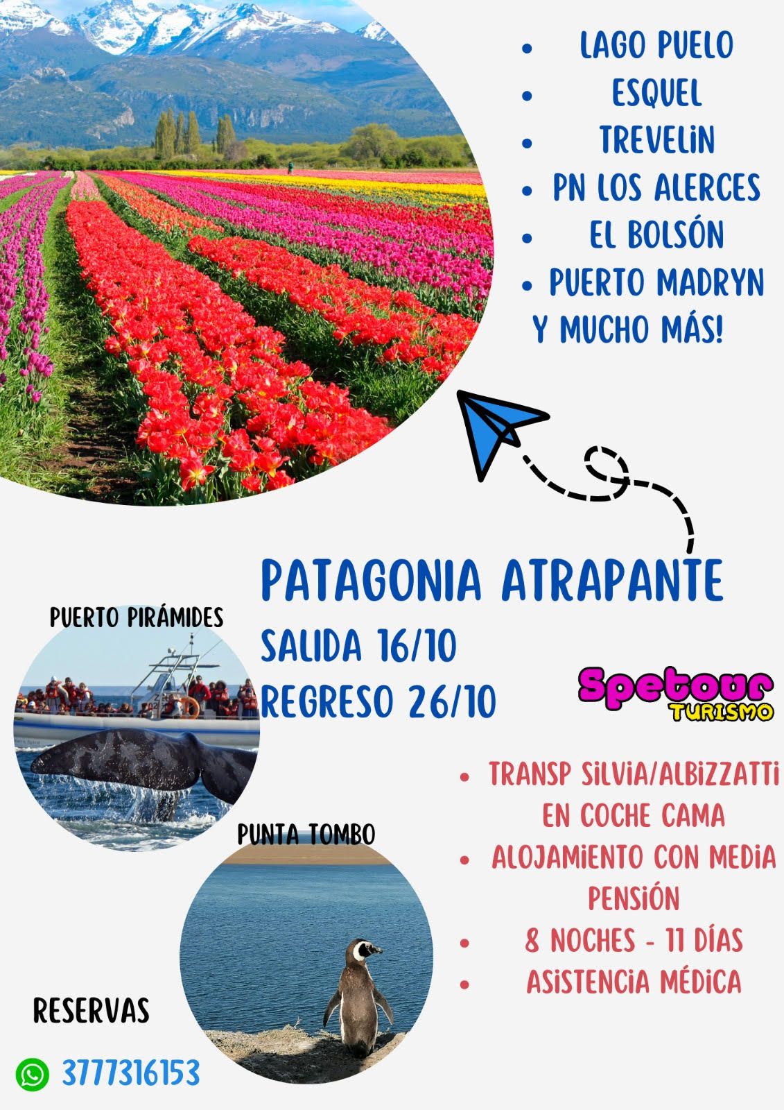 Patagonia 2023